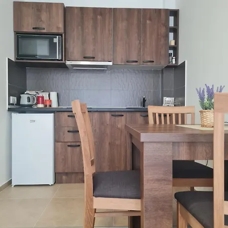 Spasic Διαμέρισμα Vrnjačka Banja